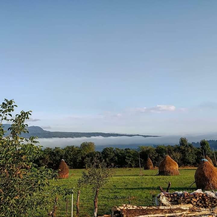 Sub Creasta Cocosului Hotel Breb ภายนอก รูปภาพ